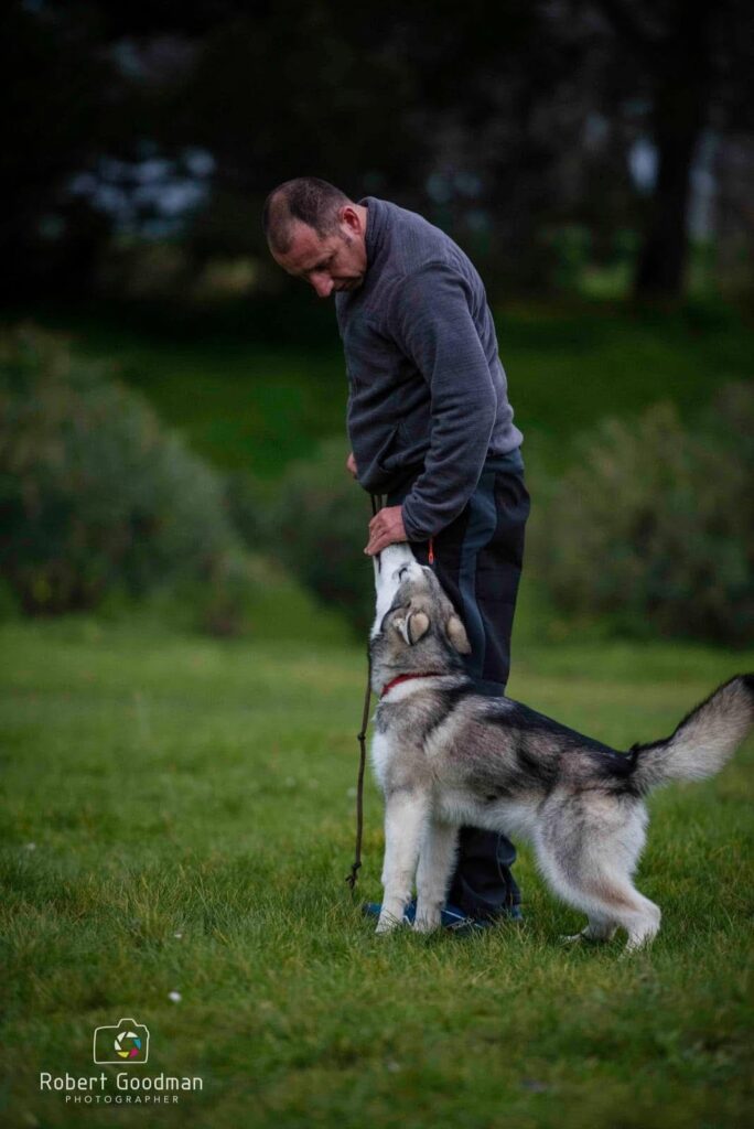 recupero comportamentale cani a Palermo